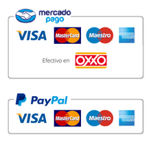 Load image into Gallery viewer, Seri | Seraph of Trust